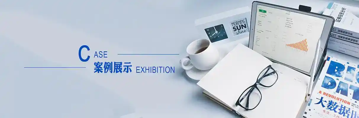 夏津县软件开发
